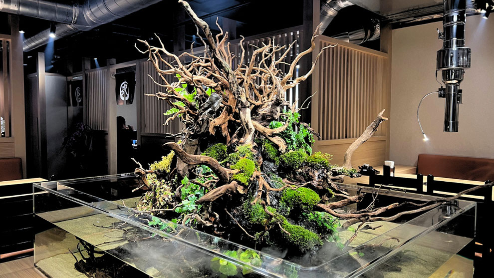 オーダーメイド】滝のあるアクアテラリウム イモリウム 苔テラリウム 