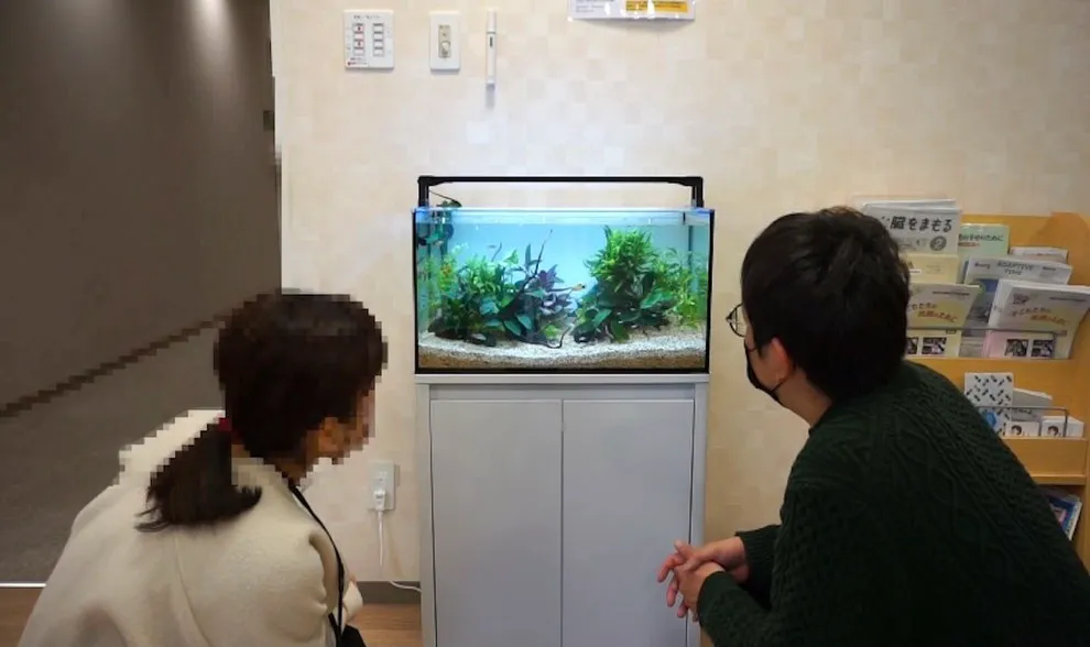 清潔なエントランスに置いた水槽