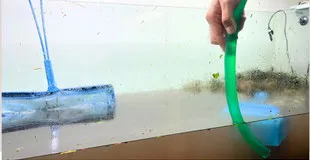 90センチ水槽スポット料金