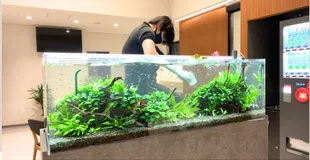120センチ水槽スポット料金