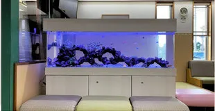 スイートマリン150の水槽