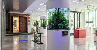 スタンダード円柱80の水槽