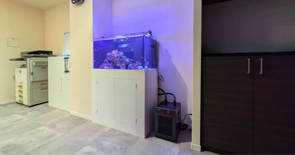 埼玉の海水魚レンタルアクアリウム