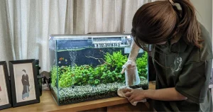 アクアレンタリウムの社員