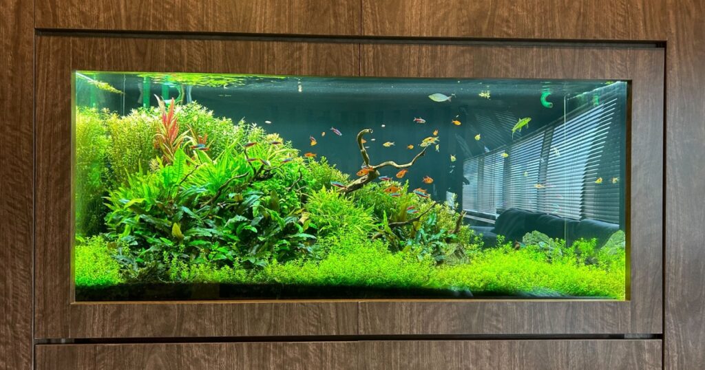 アクアレンタリウムの埋め込み水槽