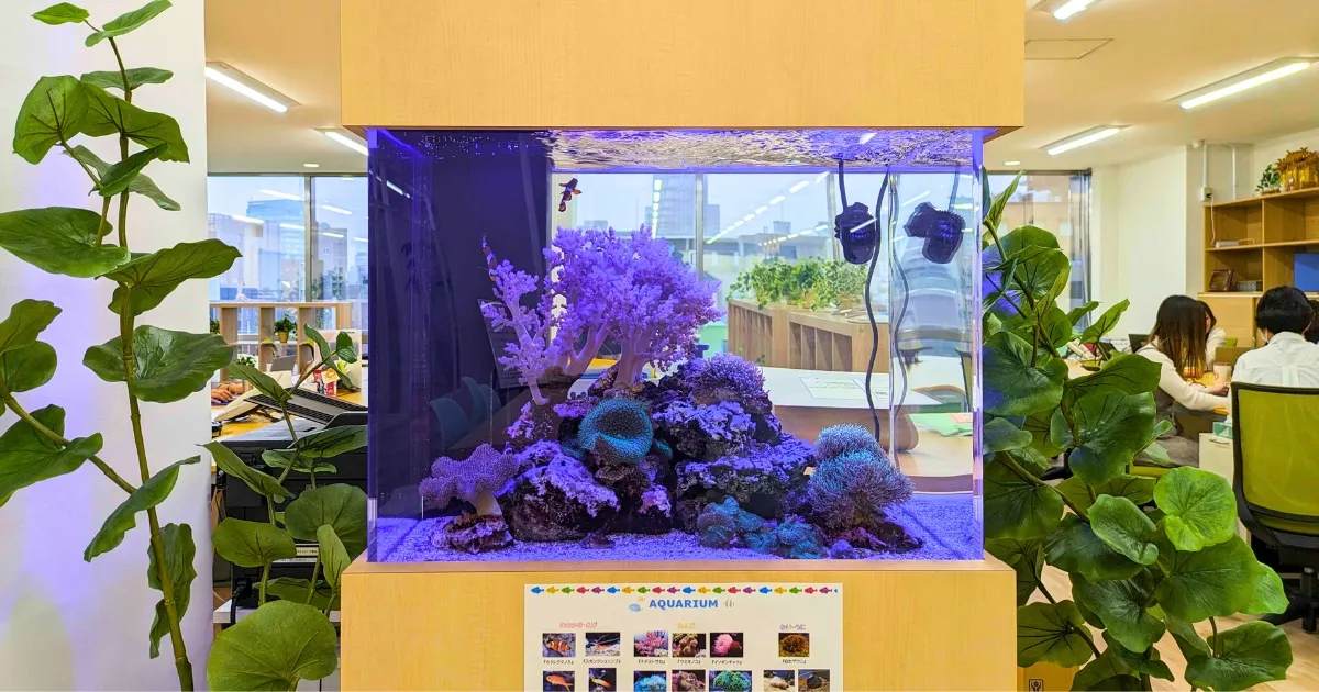60cm海水魚水槽のディテール