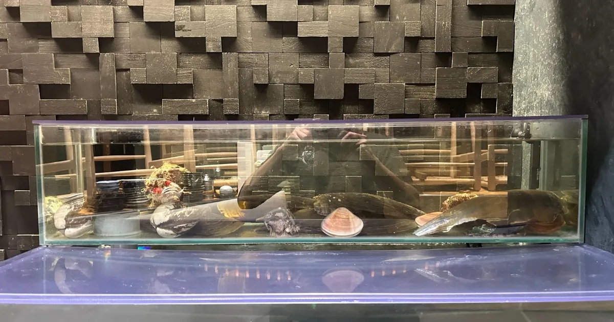 活魚水槽 導入事例2