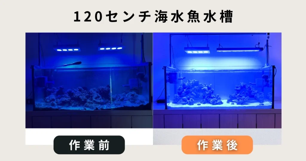 120センチマリンアクアリウム出張水槽掃除