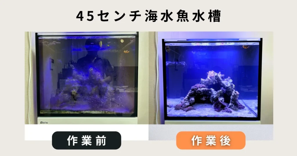 45センチ海水魚水槽掃除サービス