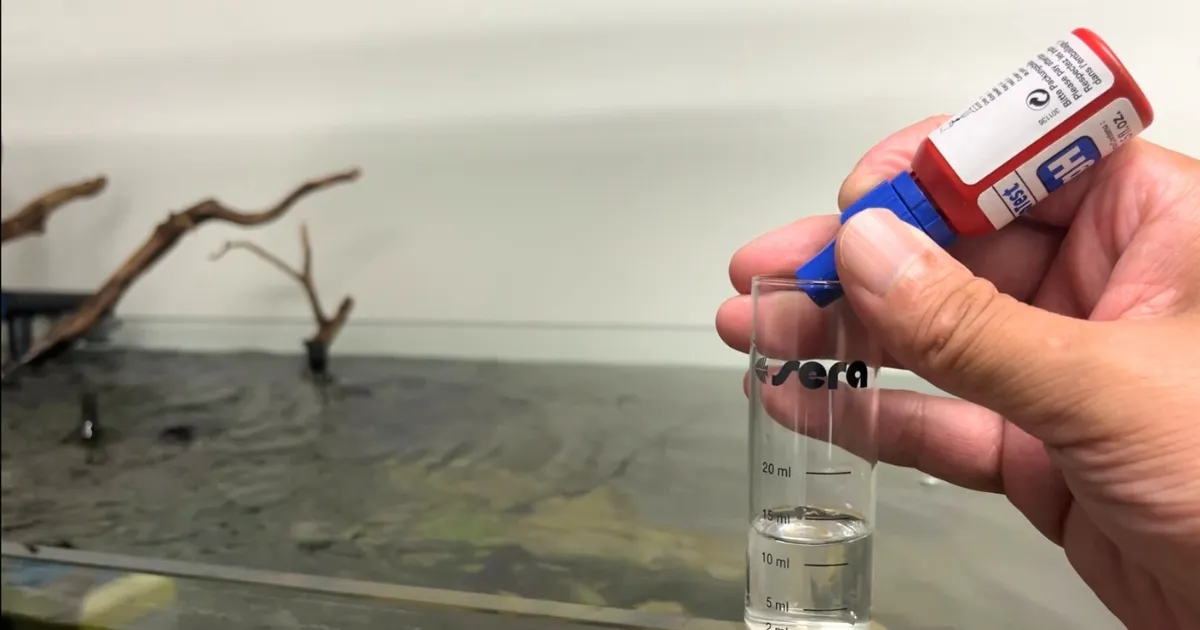 水質チェック