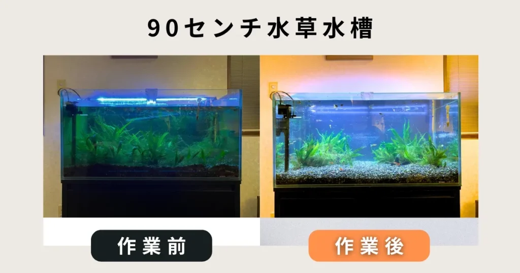 90センチ熱帯魚水槽出張掃除