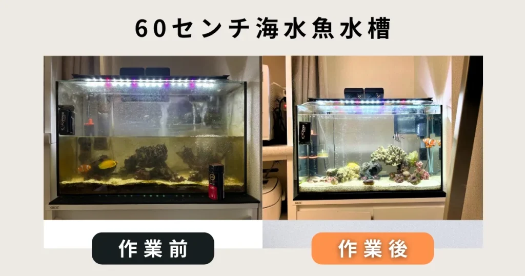60センチ海水魚水槽出張水槽掃除