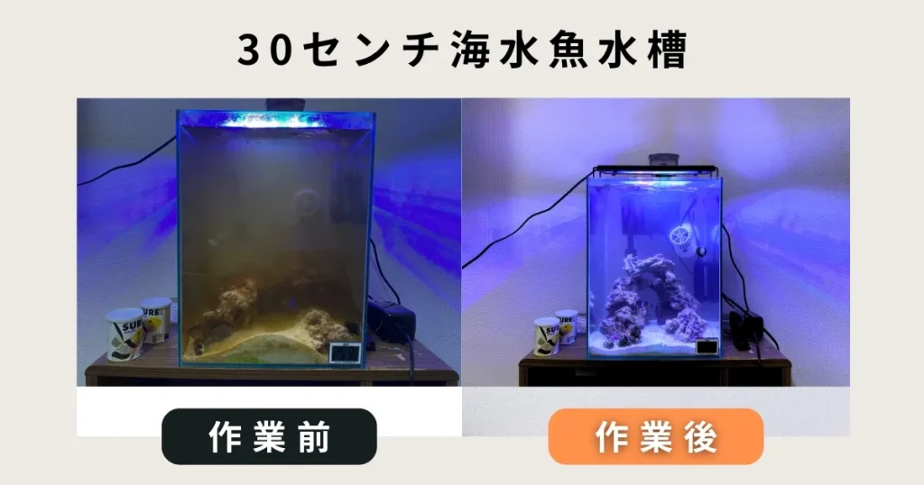 30センチ海水魚水槽掃除サービス
