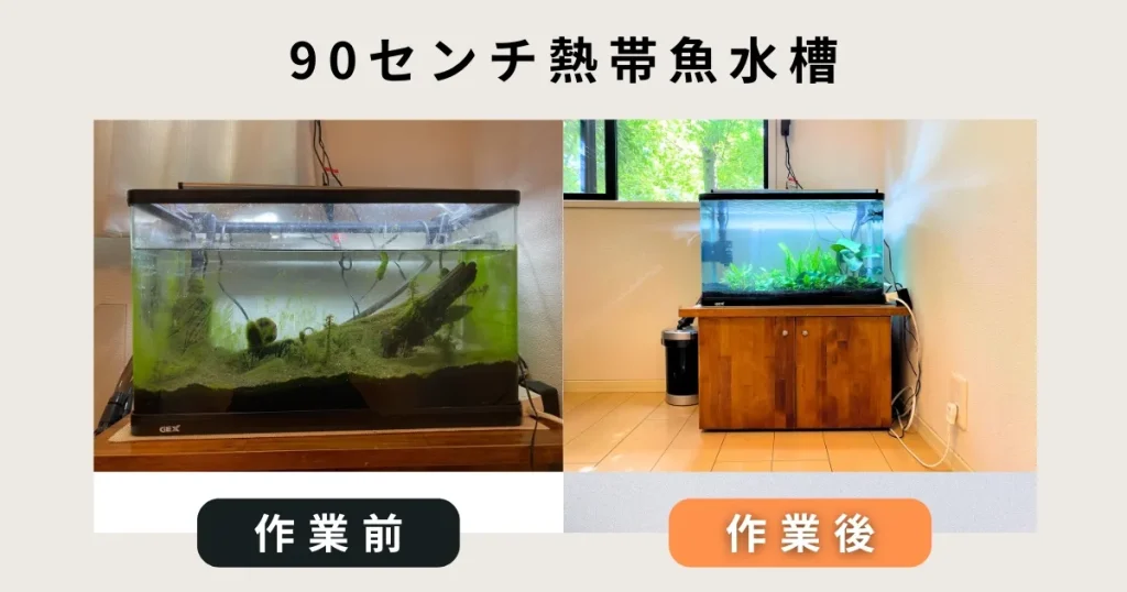 90センチ熱帯魚水槽出張掃除