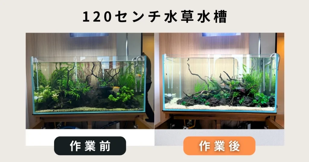 120センチ水草水槽