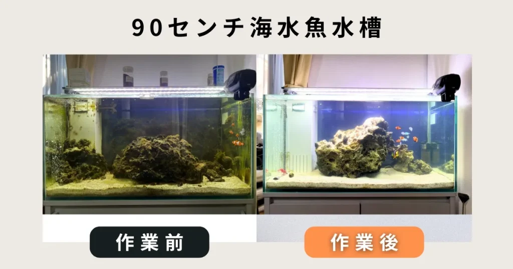90センチ海水魚水槽掃除サービス