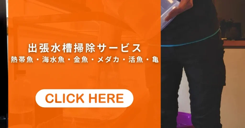 水槽掃除サービス