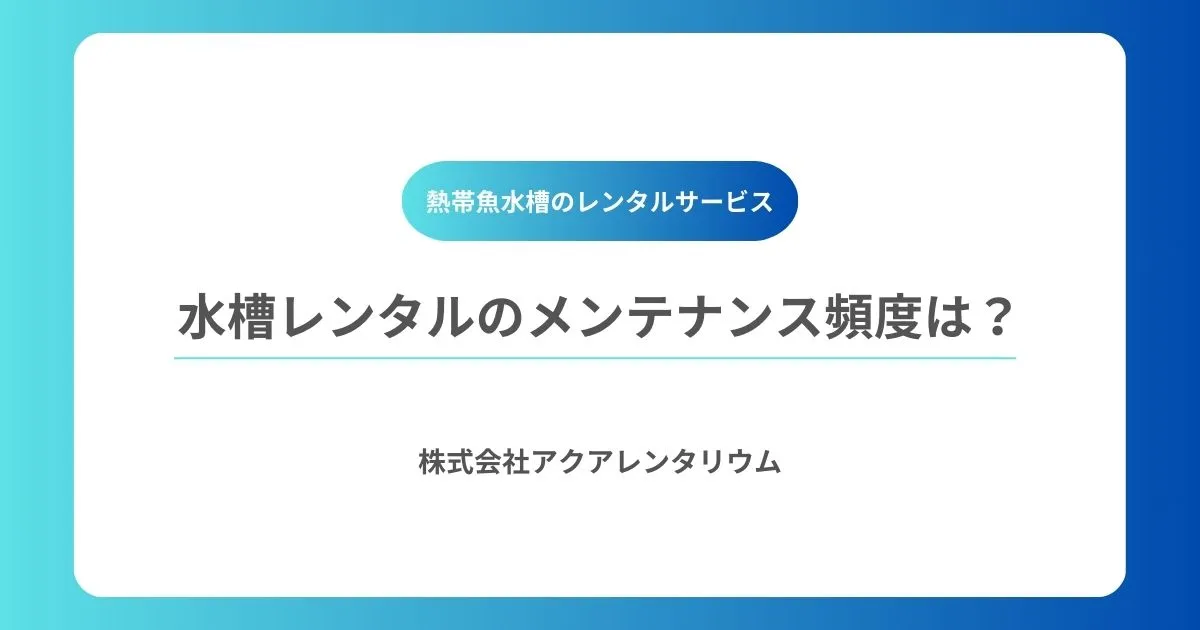 水槽レンタルのメンテナンス頻度は?