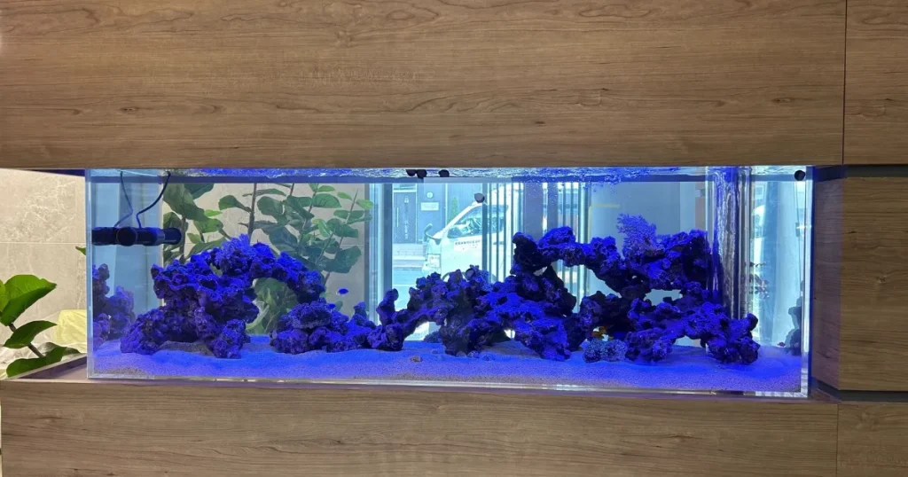 オーダーメイド水槽制作サービス