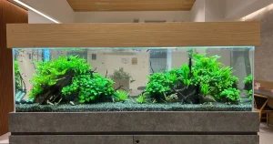 熱帯魚水槽導入事例