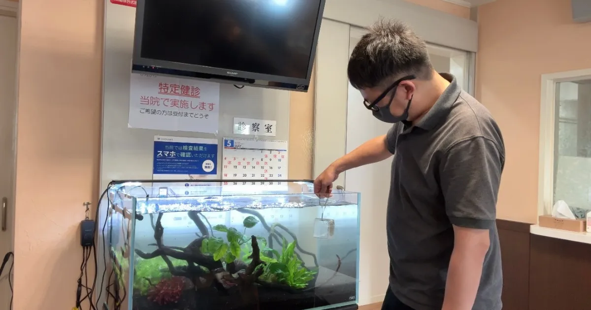 熱帯魚の補充、交換サービスを説明