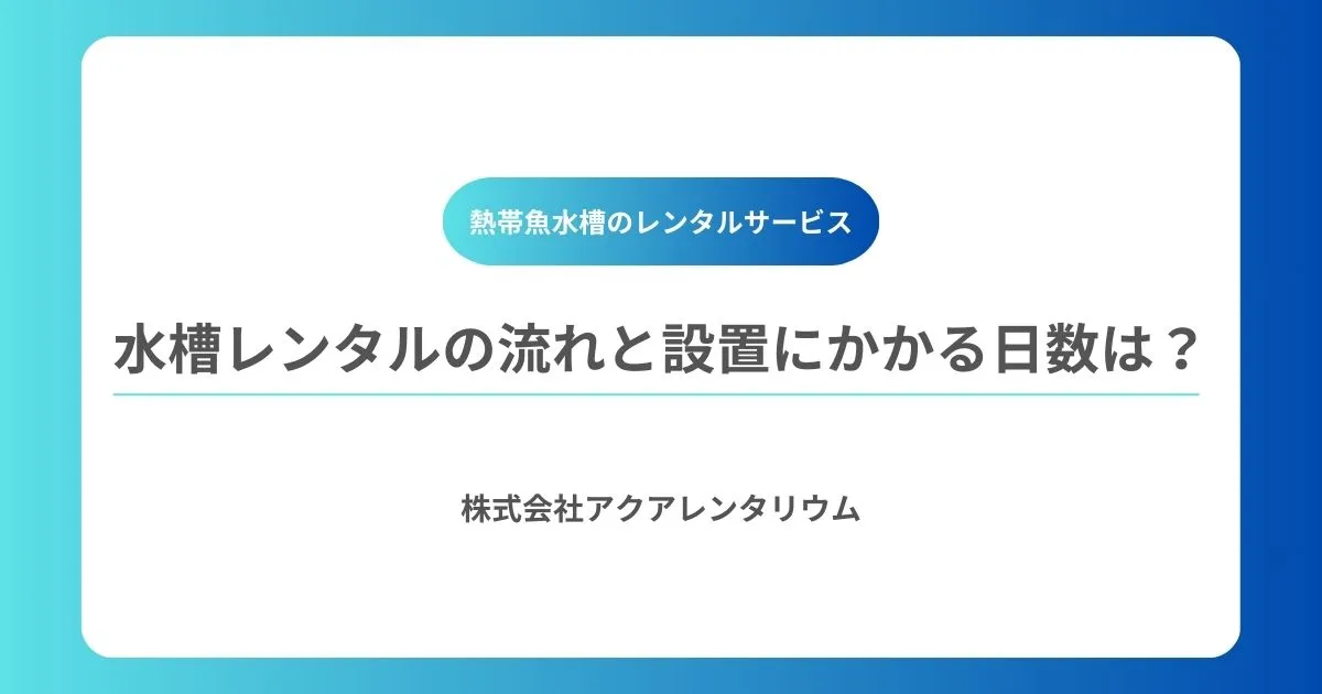 水槽レンタルの流れと設置までにかかる日数は?