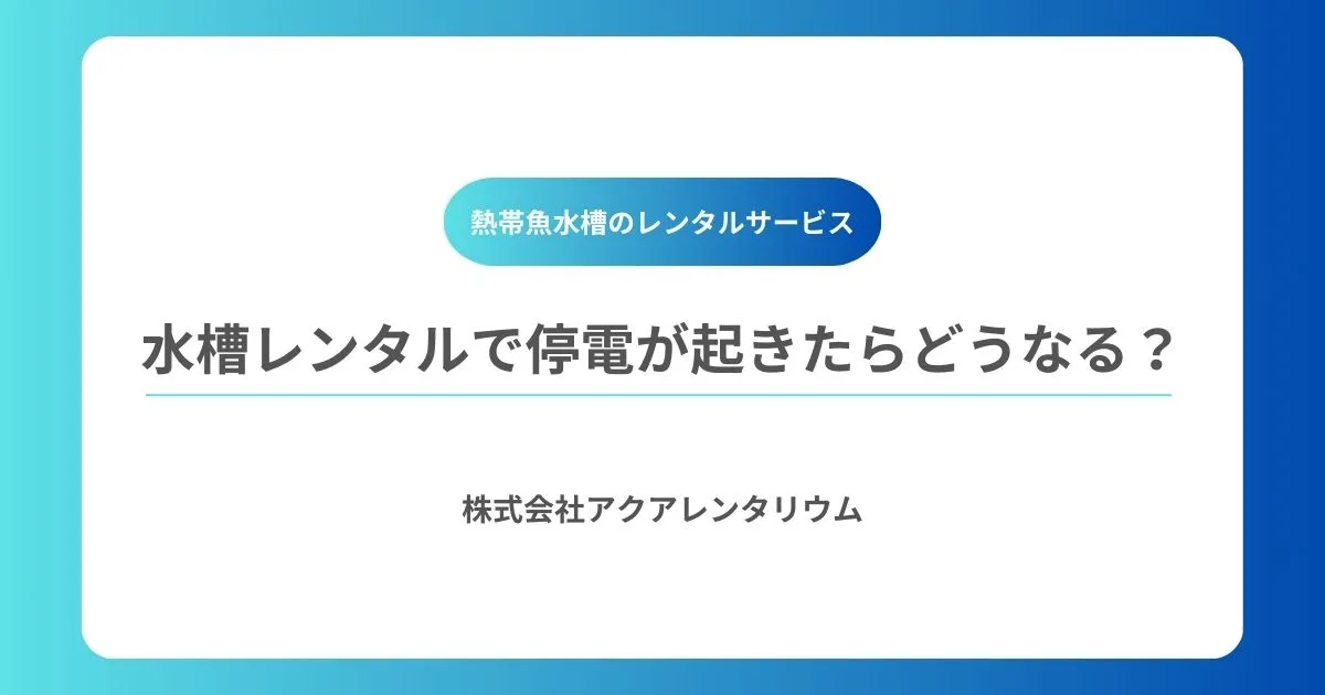 水槽レンタルで停電が起きたらどうなる?