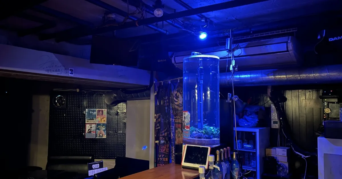 飲食店へアクアリウムを導入する場合のレンタルプランを説明