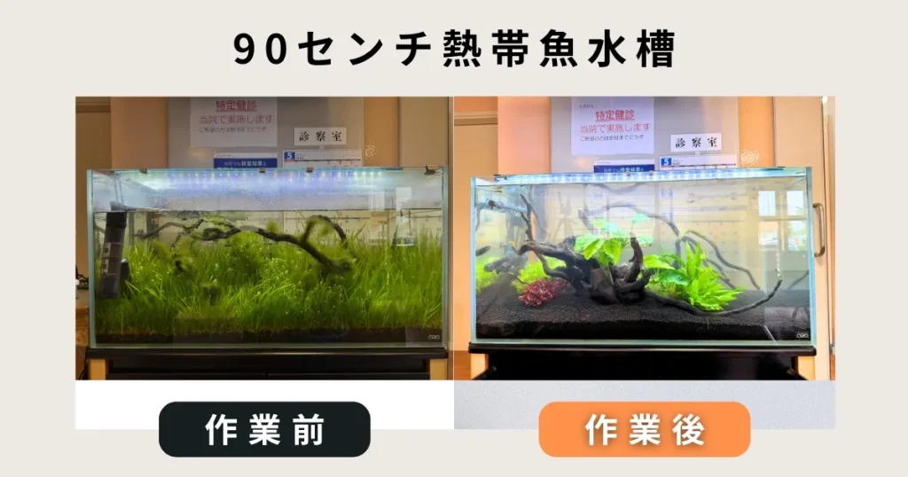 90センチ熱帯魚水槽掃除完了事例