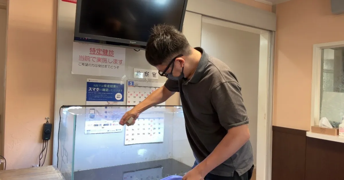 アクアレンタリウムの定期水槽コケ取り作業の説明