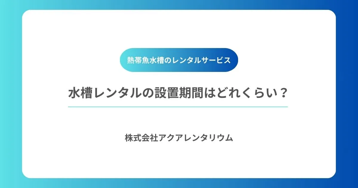 水槽レンタルの設置期間はどれくらい?