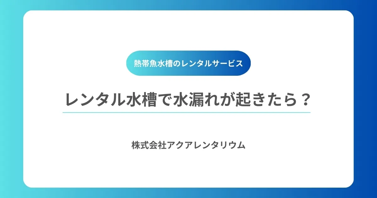レンタル水槽で水漏れが起きたら?原因と対処法を解説