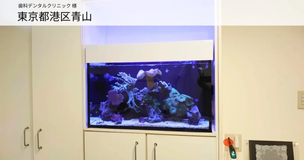 歯科クリニックにある海水魚のレンタル水槽