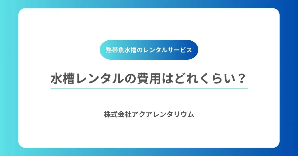 水槽レンタルの費用はどれくらい?