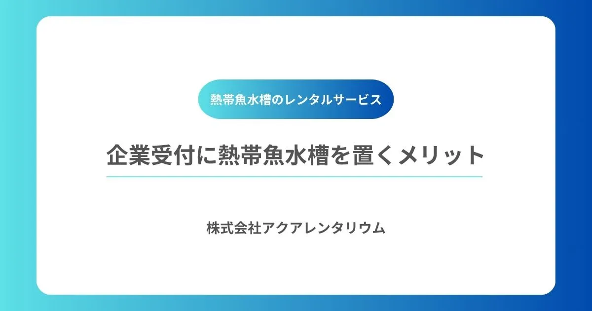 企業受付に熱帯魚水槽を置くメリット|来訪者の印象アップと社員満足度向上