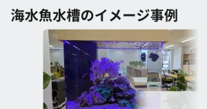 海水魚水槽の導入事例を説明