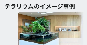 テラリウム水槽の導入事例を説明