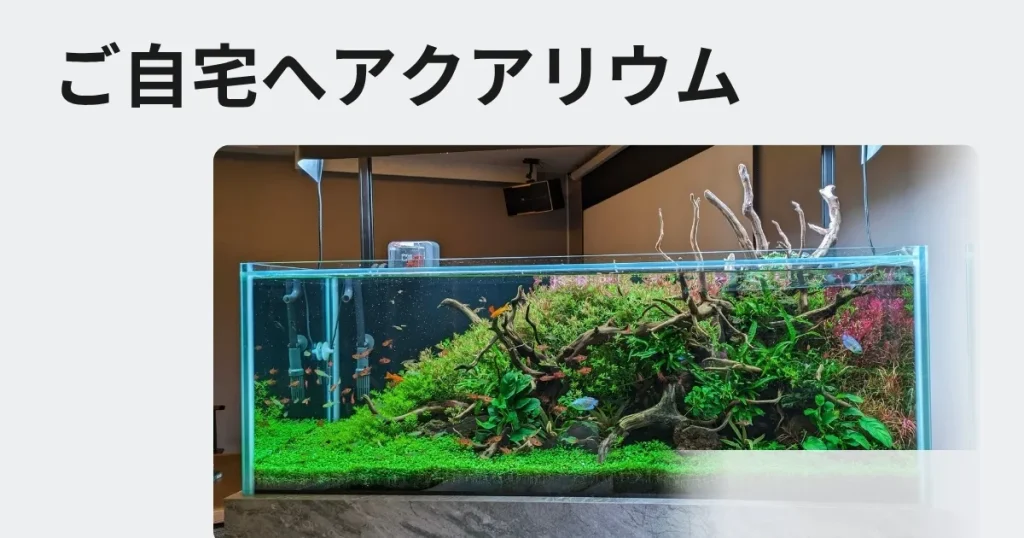 自宅へアクアリウムのレンタルやリースをご検討の方へ