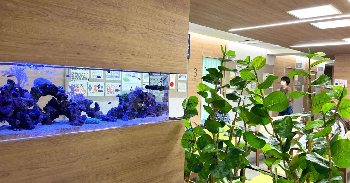 海水サンゴ水槽の導入事例