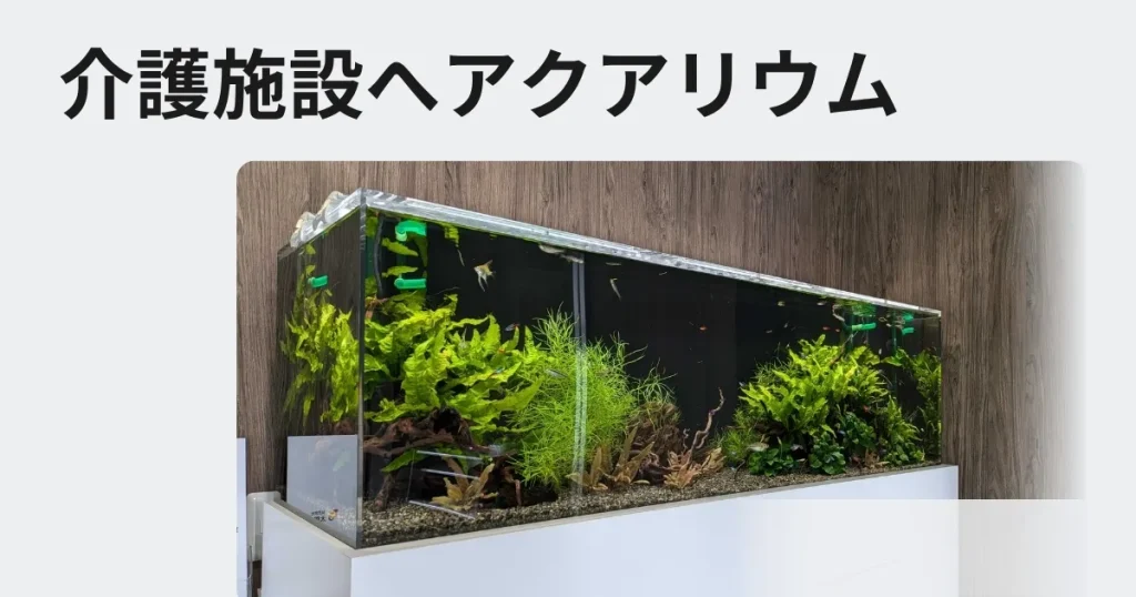 老人ホーム熱帯魚 水槽のレンタル、リースをご検討の方へ