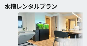 水槽レンタルの説明メニュー