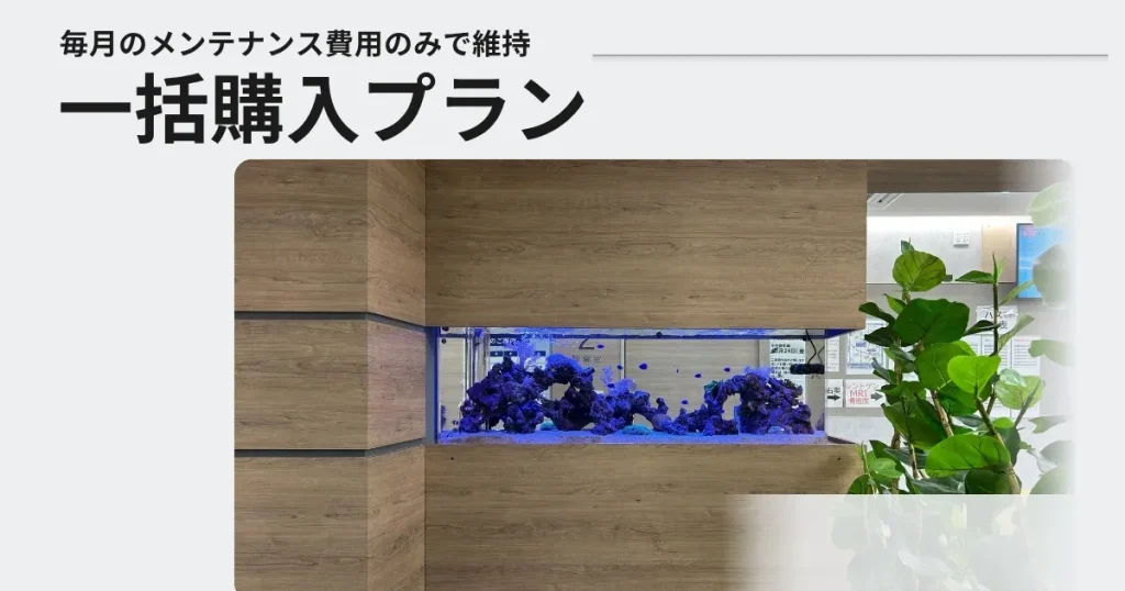 アクアレンタリウムの水槽お買い上げプラン
