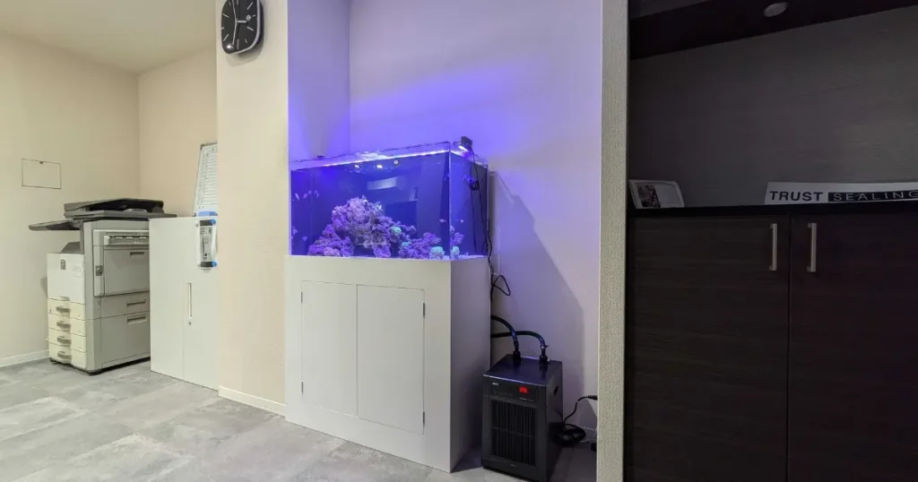 オフィスにある海水サンゴ水槽