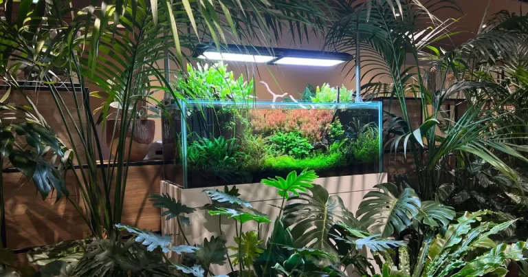港区虎ノ門｜IT企業のオフィスに120cm水草水槽