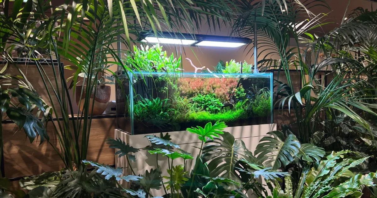 アクアレンタリウムの美しい水草水槽