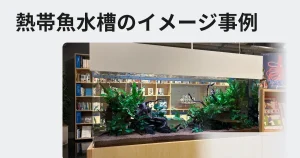 熱帯魚水槽の導入事例を説明