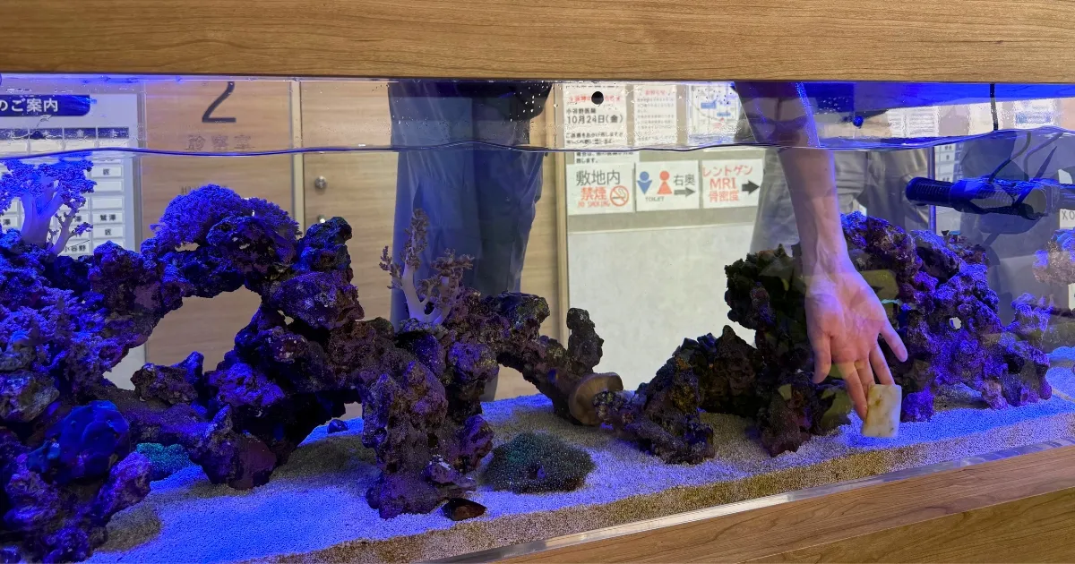 水槽管理社員のまとめ