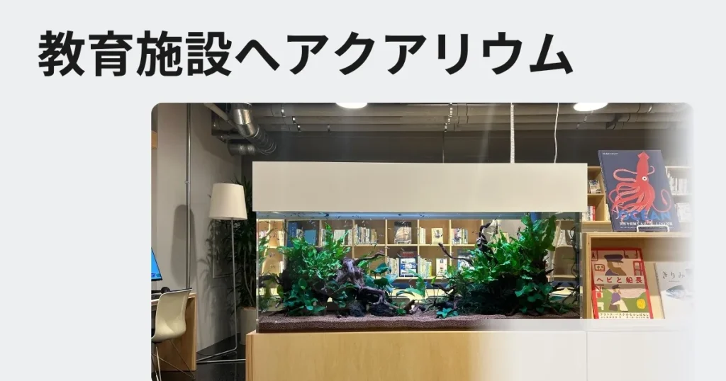 幼稚園や保育園へ熱帯魚水槽のレンタル、リースをご検討の方へ