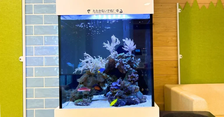 北区｜小児科クリニックの待合室に45cm海水魚水槽