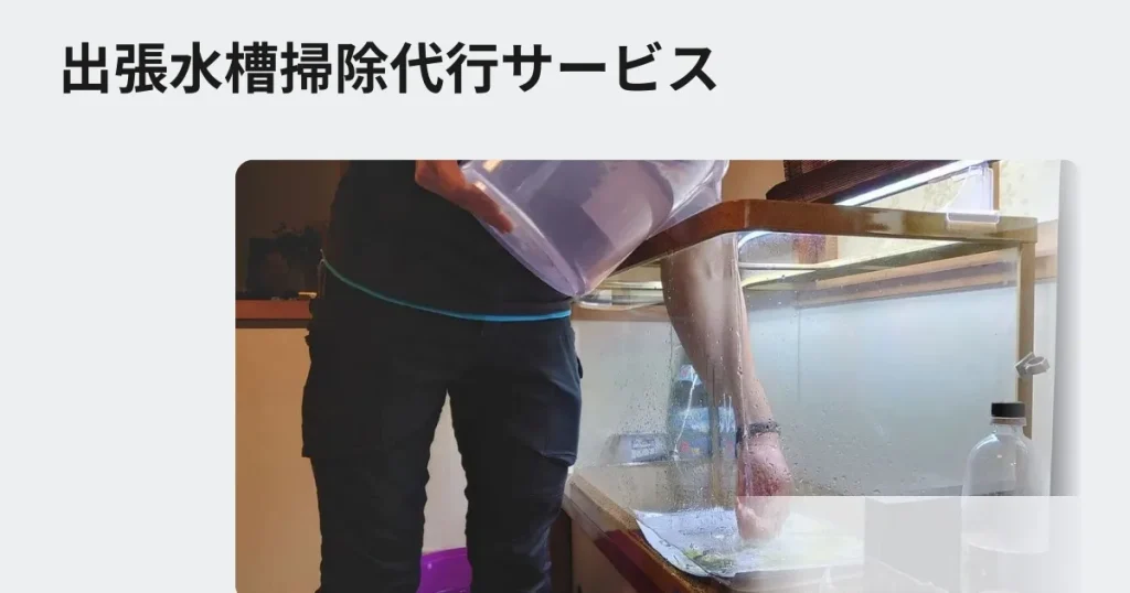 出張水槽掃除サービス